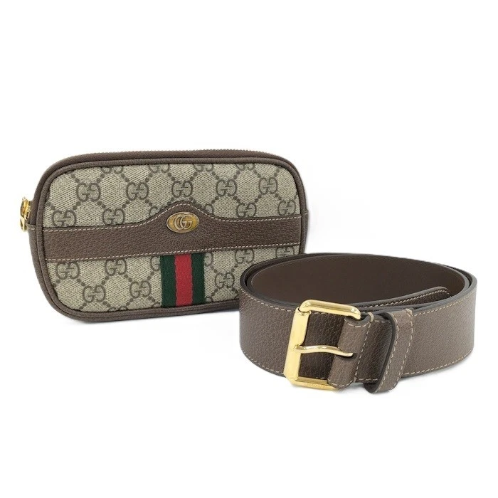 Sac taille GUCCI Ophidia Shelly Line GG Supreme PVC cuir 519308 742864