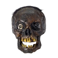 Rotten Head Prop Decoration for Halloween