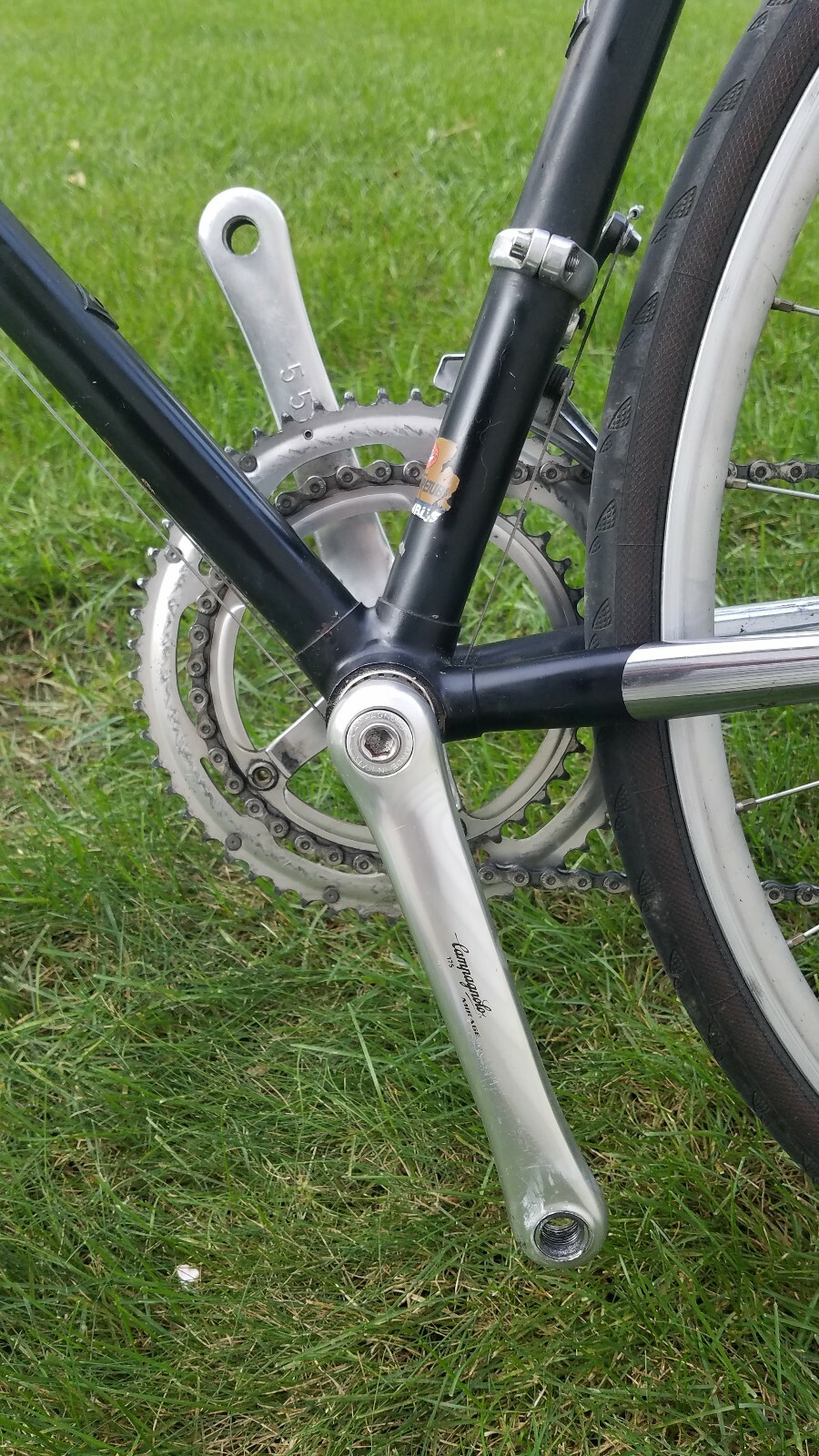 Schwinn Circuit 60cm Columbus sl double butted tubing, full campagnolo