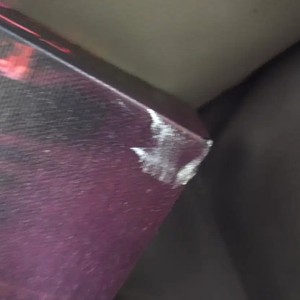 Napal Frame Speaker, Well Preserved, No Box, Slight Marking