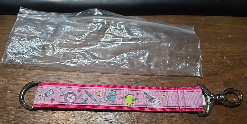 Thirty-One Hang It Up Key Fob - Pink Teacher Apple Camera Pencil Compass - NIP