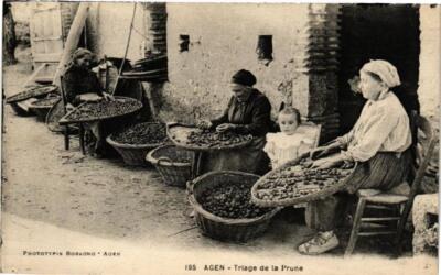 Old postcard Agen - Triage de la Prune (210717)