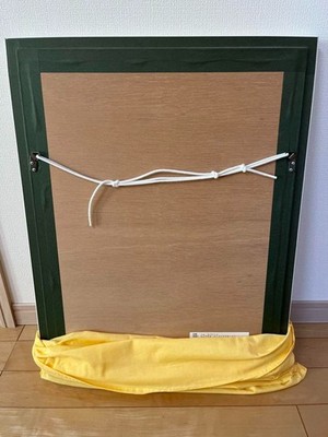 TOM EVERHART SUPER FLY SPRING Lithograph Limited edition of 295