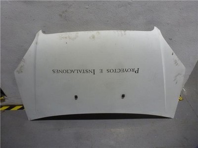 46743226  Motorhaube Fiat i doblo 119 2001 19 jtd elx dynamic 19 ltr 77 kw jtd