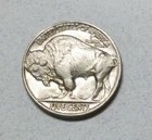 AU/BU 1936 Buffalo Nickel : Full Sharp Horn