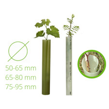 TUBEX Wuchshülle Obstbau Weinbau 60cm | 75cm Rebschutz Weinrebe Baumschutz