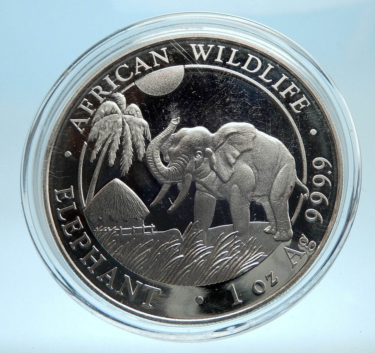 2017 SOMALI REPUBLIC SOMALIA Elephant African Wildlife Silver