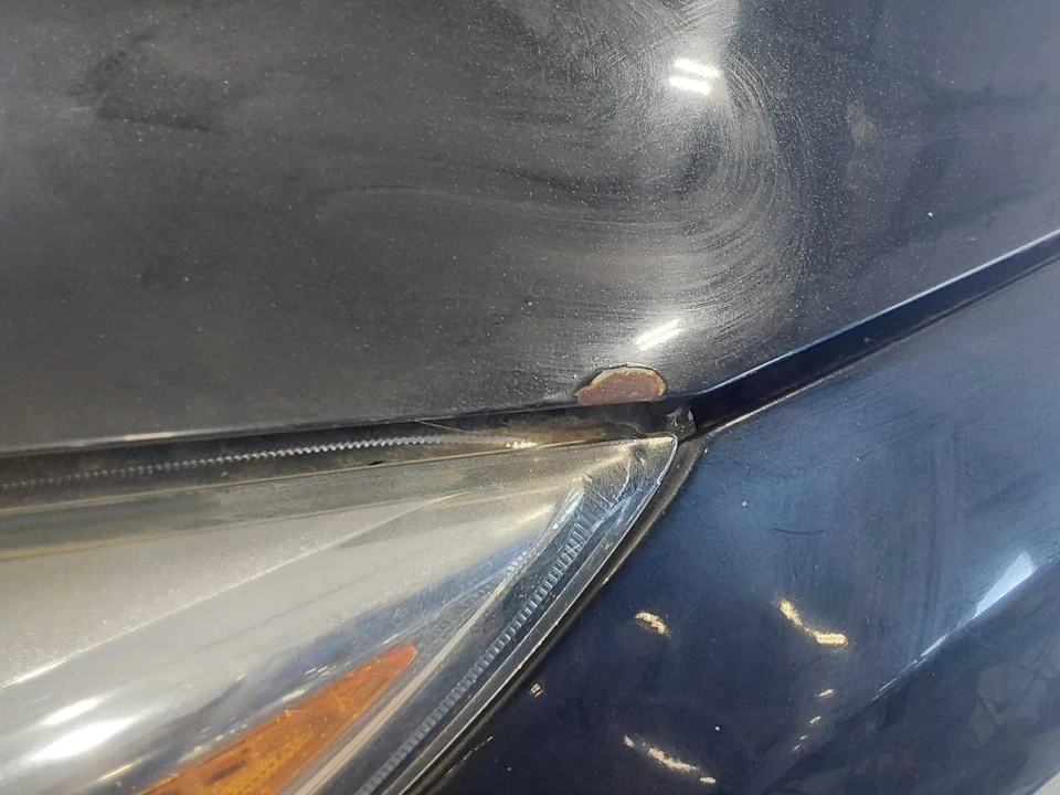 Used Hood fits: 2015 Ford Focus gasoline models Grade A Foto 2 de 4