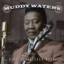 King of Chicago Blues von Waters,Muddy | CD | Zustand sehr gut