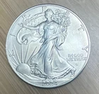 2024 1 oz American Silver Eagle Coin BU