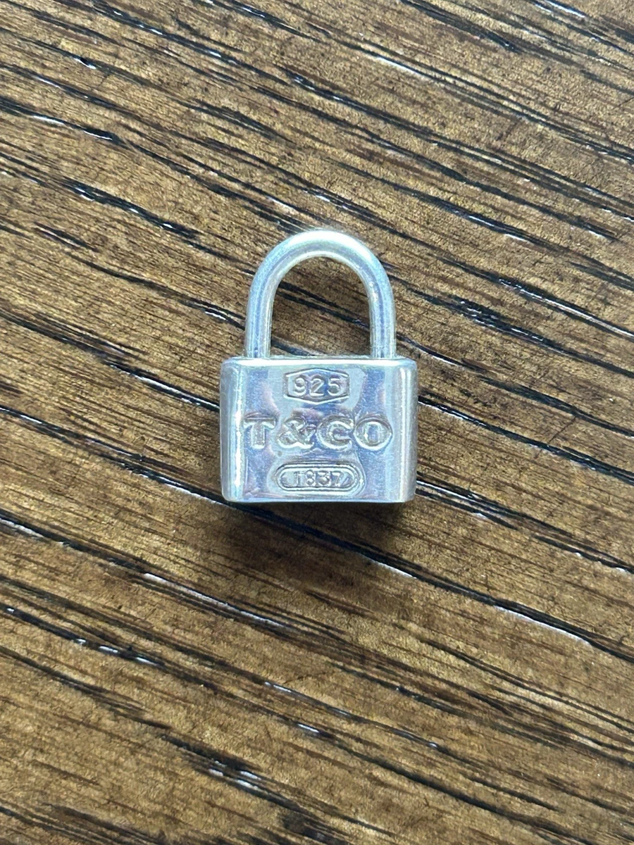 25+ Tiffany & Co. Lock Charms for sale | Updated Oct 2026