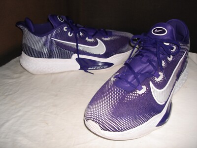 Nike Air Zoom Bb Nxt Promo Orchid White Purple Ck5879-501 Men's Sz. 18 MINT !!