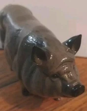 Royal Doulton Vietnamese Pot-Bellied Pig Figure Bone China VTG England