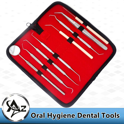 Professional Scaler Oral Hygiene Dental Tools Set Teeth Clean Kit With Mirror US