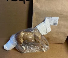 BreyerFest 2025  Future is Bright  Palomino Criollo Horse SHORT Mane Version