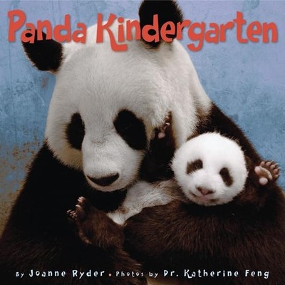 Panda Kindergarten: A True Story with Photographs About Baby Pandas Learning...