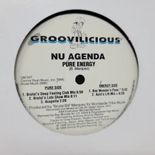 Nu Agenda Pure Energy 12" Vinyl Record Single