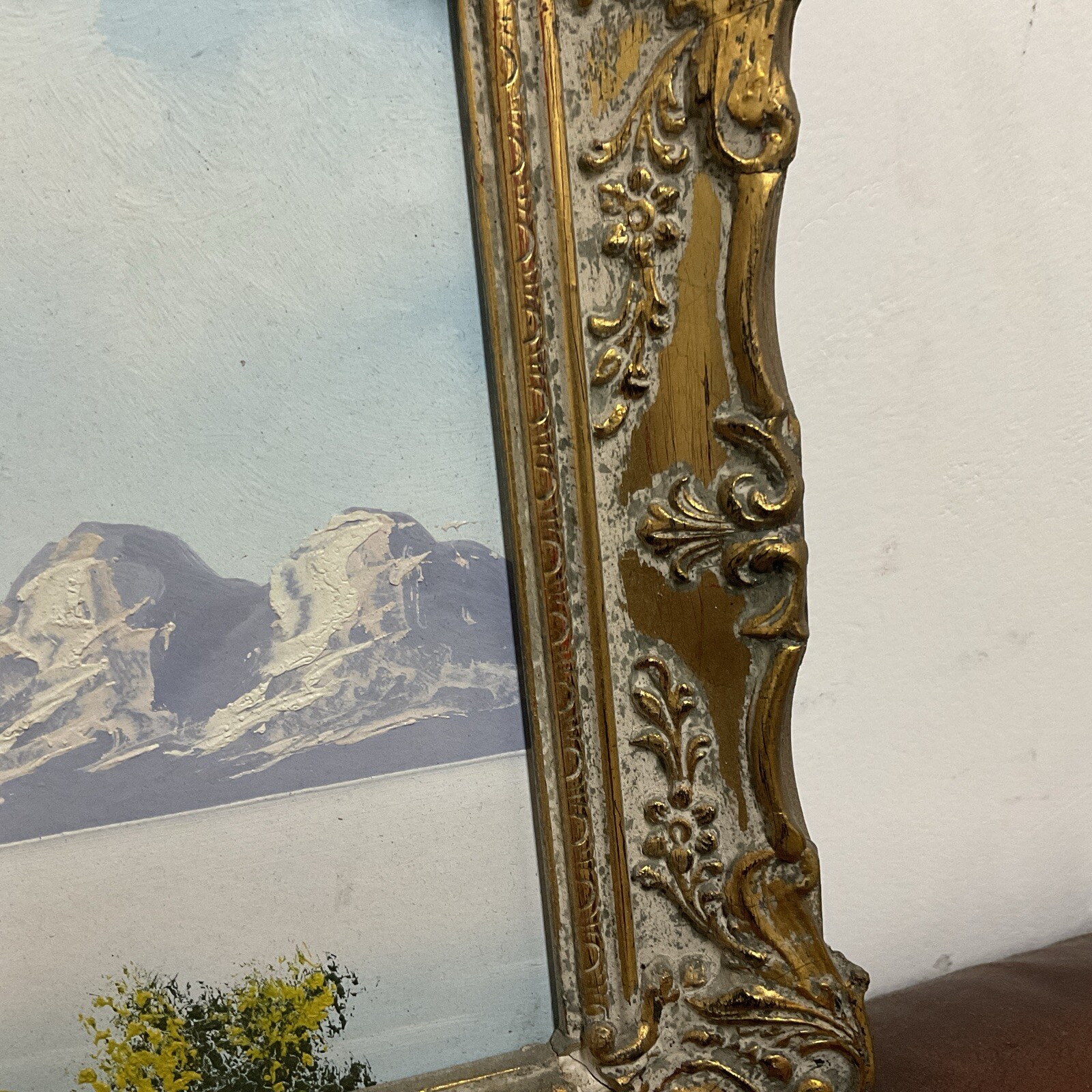 Picture 5 of 24