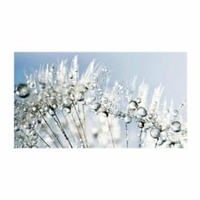 Quadro moderno lucido in plexiglass 100x150 cm DANDELION WHITE