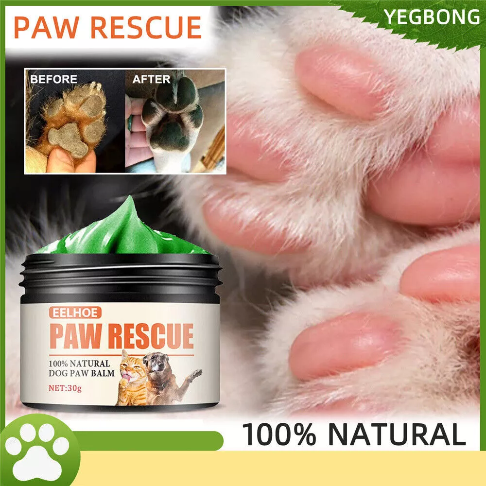 Pad wax for dog paws top