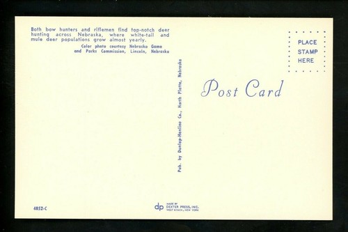 Gun / Hunting postcard Deer Hunting in Nebraska NE chrome - Picture 2 of 2
