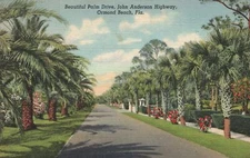 Beautiful Palm Drive John Anderson Highway Ormond Beach Florida Vintage Postcard