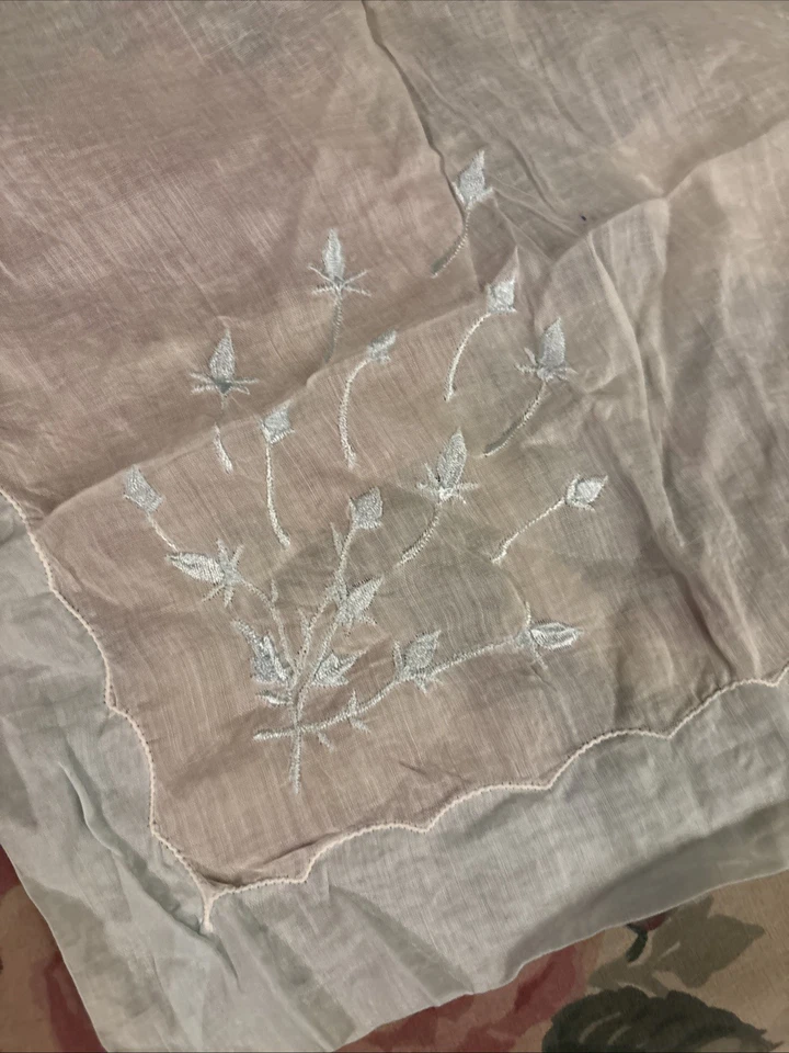 Pañuelo Vintage Blanco Borde Azul Bordado Floral Rama Pañuelo Mid Cen Foto 2 de 3