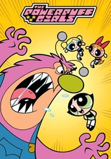 THE POWERPUFF GIRLS CARTOON SERIES 11"x17" POSTER PRINT 2