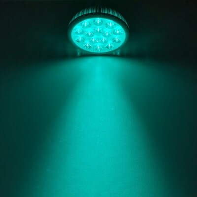 15W / 30W 495nm~500nm PAR38 Cyan LED Lamp Spot Light Bulb Plant Aquarium