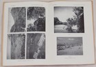 Picture 8 of 8