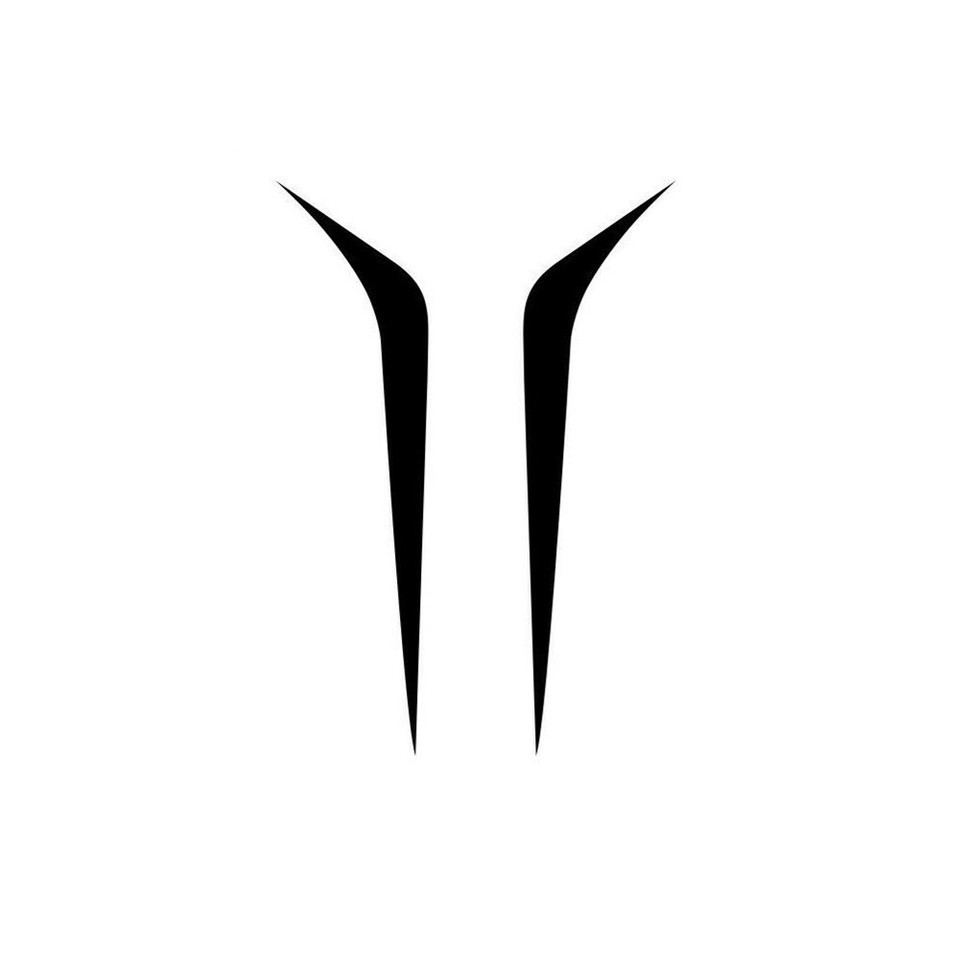 Easy to Apply Car Racing Hood Stripes Decal 2Pcs Black Vinyl Stickers