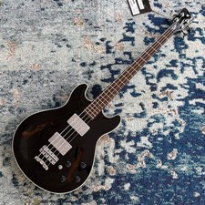 Warwick RockBass Star Bass 4-String Semi-Holl...