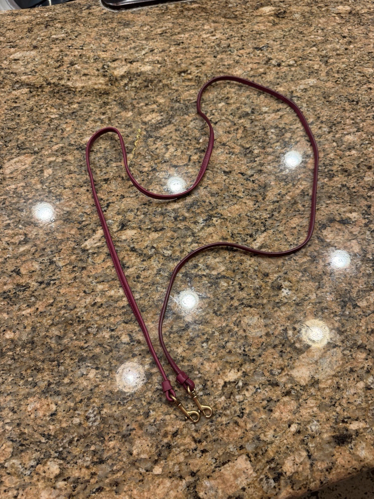 Coach Replacement Strap - image 1