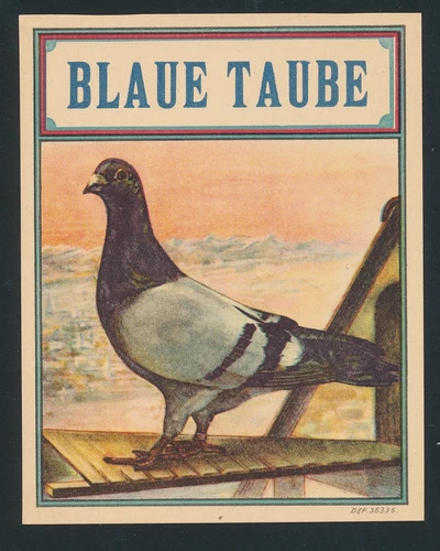 74246) Tobacco, cigar boxes label BLUE DOVE, birds bird paloma