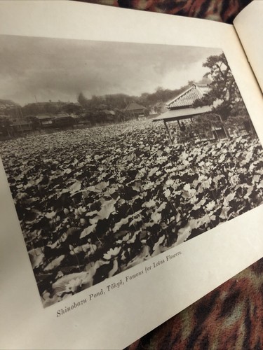 Sights And Scenes Of Fair Japan 1910 Samurai Geisha Tokyo Imperial Palace VG - Picture 6 of 15