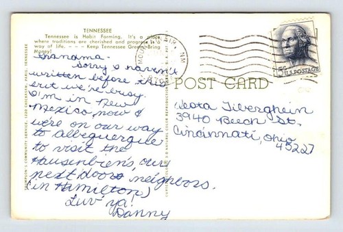Memphis Tennessee Greetings From Large Letter Postcard Moonshine State 1969 - Picture 2 of 2