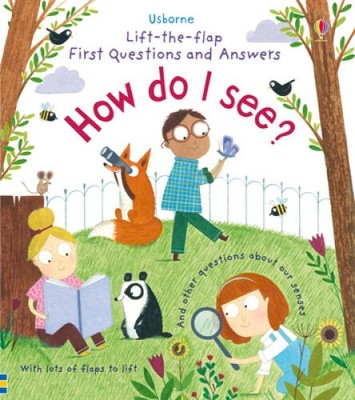 How Do I See (Lift the Flap First Questions and Answers) - VERY GOOD
