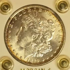 New Listing1889 O morgan silver dollar BU