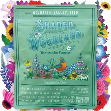 Shade Tolerant Wildflower Seeds Mix 19 Varieties Eco Friendly Non Gmo 3 Oz