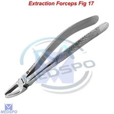 Surgical Oral Surgery Upper Molars Tooth Extracting Forceps Fig. 17 Dental Tools