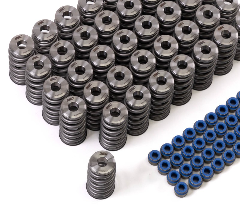 GSC Power Division P-D Audi R8 V10 / Lamborghini Huracan V10 5.2L Valve Spring &