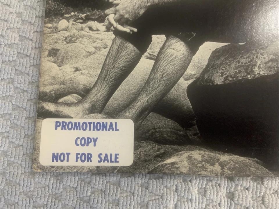 Gino Vannelli – Brother To Brother White Label Promo Vinyl - RARE - EX COND - Image 2 of 4