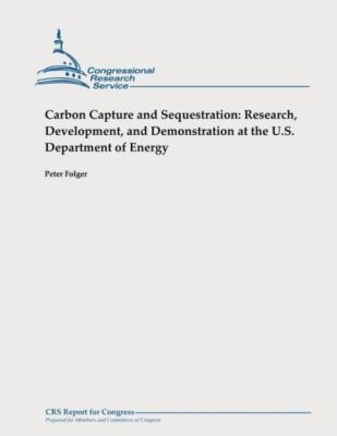 Carbon Capture And Sequestration: Research, Development, And Demonstration ...