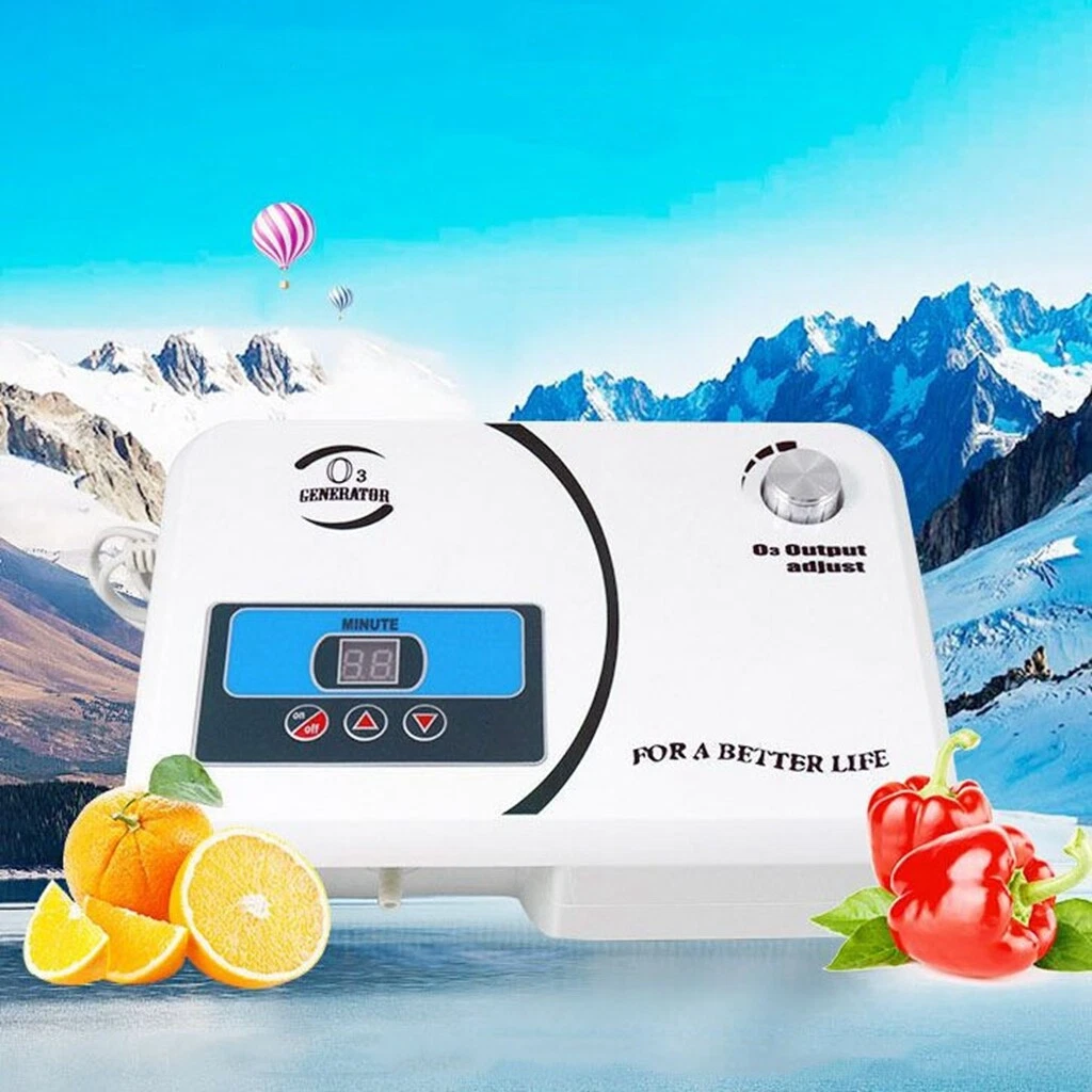 Enaly ozone generator outlet