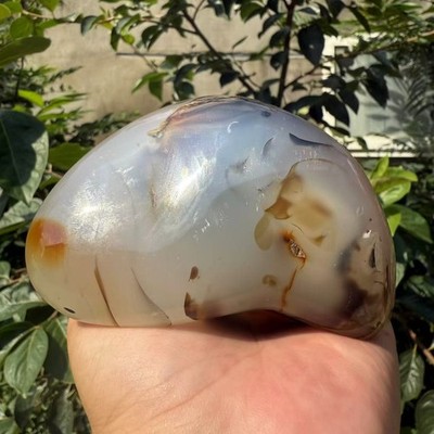 650 Dendritic- Chalcedony Agate Quartz Crystal Palm Stone Natural Landscape