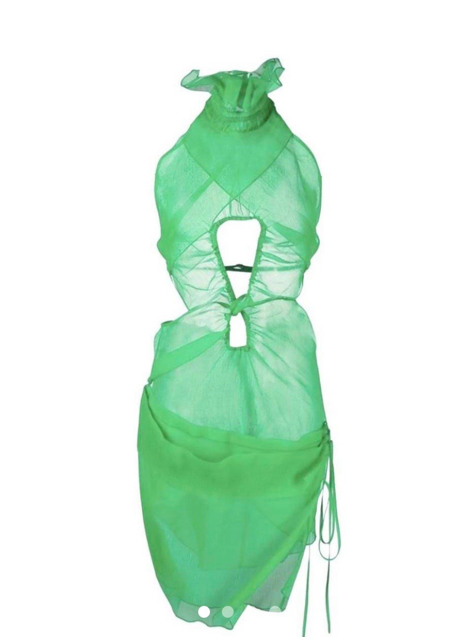 Supriya Lele Sheer Green Dress M image 4