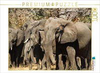 Calvendo Puzzle Elephants In Bwabwata National Park | 1000 Pieces, Finished Size