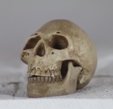 5.5cm HUMAN MICRO SKULL with HINGED JAW - GOTHIC GIFT - HALLOWEEN - HEAVY METAL