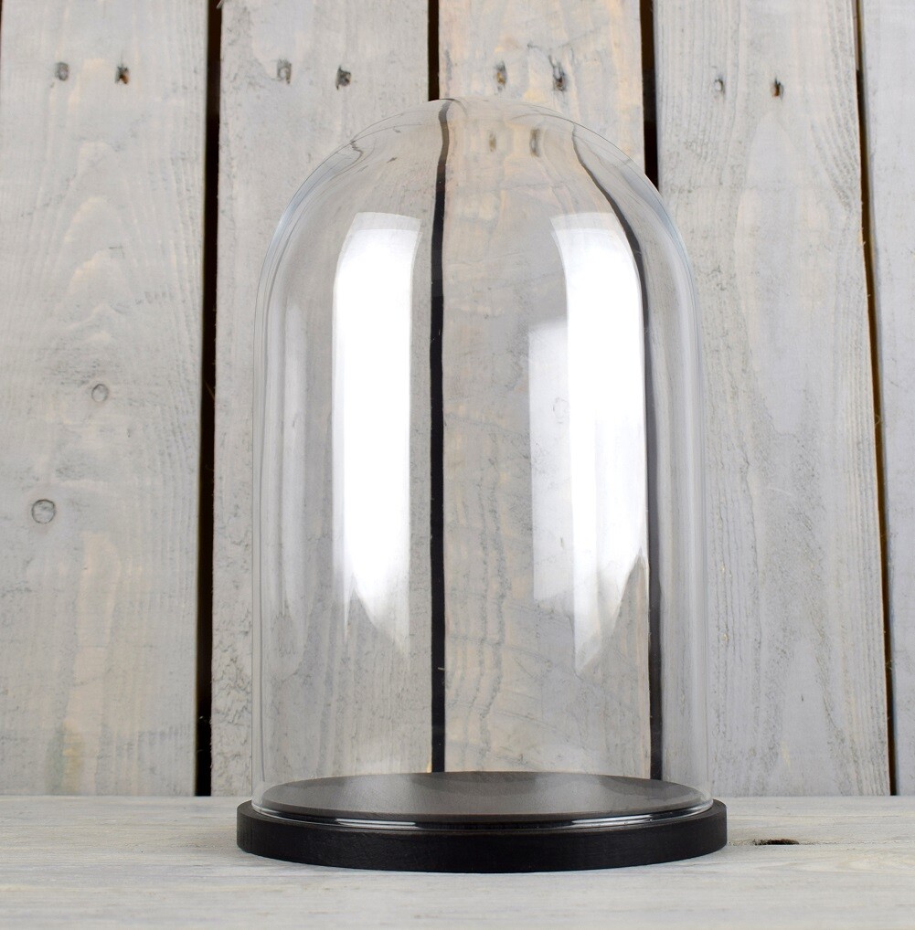 EMH Medium Glass Dome Display Cover Cloche With Black Base 21 x 15 cm
