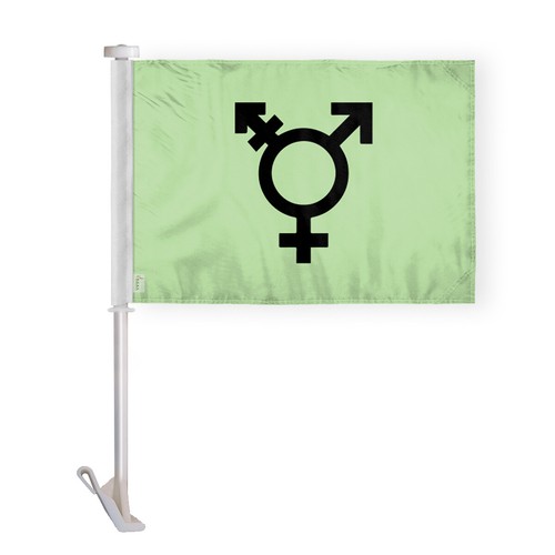 Israel Trans Flag-Single Sided Printed-Brass Grommets- Fade Proof Colors - Picture 14 of 15
